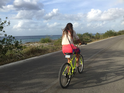 Best Bikes Cozumel thumb 4